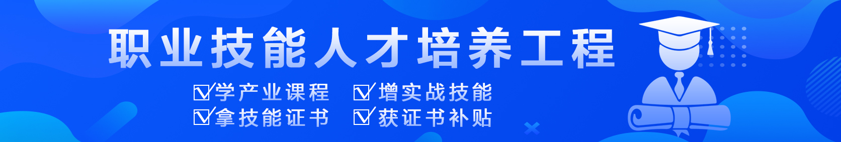 职业技能人才培养工程